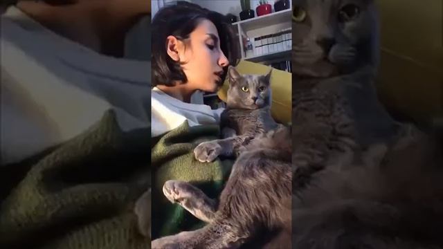 Я РЖАЛ ЦЕЛЫЙ ЧАС😹ПРИКОЛЫ С КОШКАМИ И СОБАКАМИ/ СМЕШНЫЕ ЖИВОТНЫЕ 2021⭐ПОПРОБУЙ НЕ ЗАСМЕЯТЬСЯ!🤣