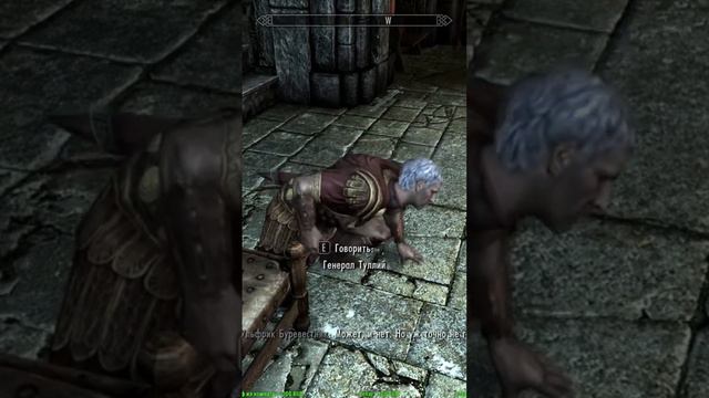 Последние минуты жизни Генерала Тулия в Скайрим. #mrcatgames #skyrim #tes5 #скайрим #tes