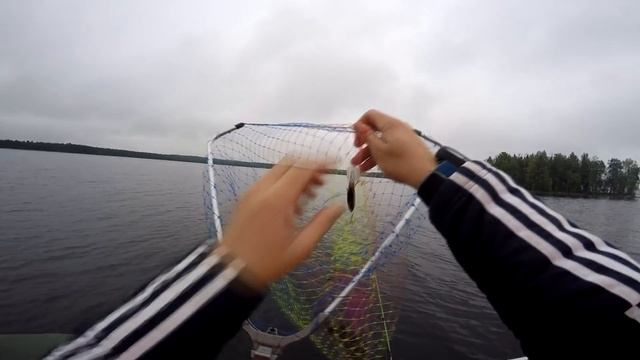 Рыбалка в Карелии Ловля окуня и щуки на троллинг смотреть онлайн