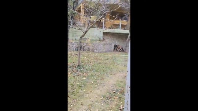 Вилла с земельным участком на берегу реки в Мцхета, Грузия Выгодно для гостиницы 8298 смотреть онлайн