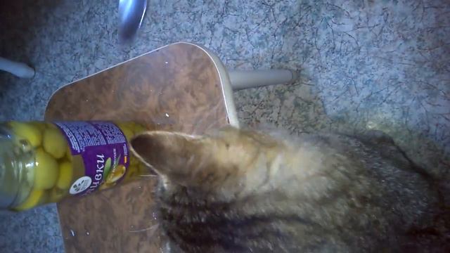 WP 20180416 002 смотреть онлайн