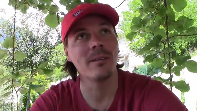 =Сергей Симонов. история из 90-х. Ничего не умел, но устроился на работу. Пришлось всех прикрутить смотреть онлайн