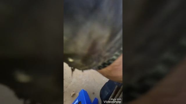 97 ford explorer fuel pump change смотреть онлайн