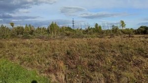 Как с НУЛЯ заняться СЕЛЬСКИМ ХОЗЯЙСТВОМ?! Мой ОПЫТ!