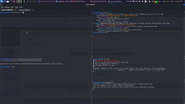 Stealing Cookies & Session Riding Using Stored XSS