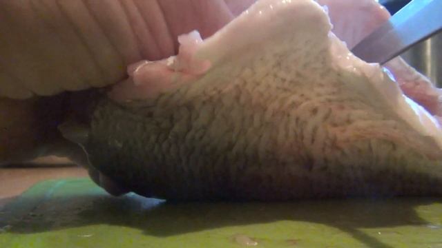 Научные Открытия и Изобретения