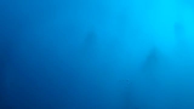 Погружение на корабль , максимально глубокая точка 32 метра над уровнем моря . смотреть онлайн