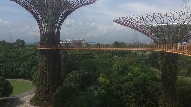 Singapore, Gardens by the Bay : Golden Princess, Asia Cruise VLOG 1. (2018) смотреть онлайн