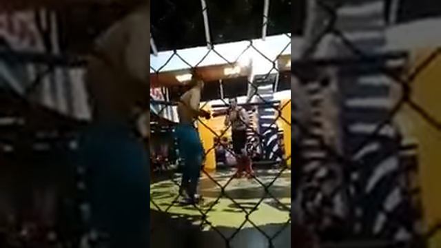 Маруф Латипов бой мам смотреть онлайн