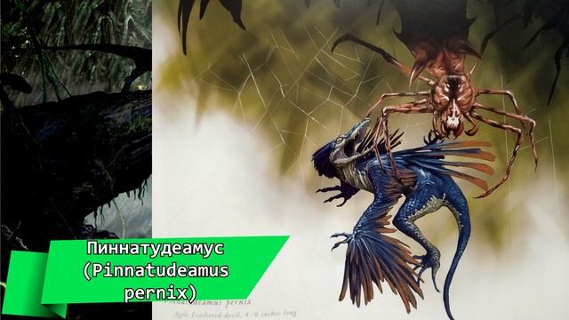 "Жизнь Острова Черепа" (The Life of Skull Island) - Перфоссор и Пиннатудеамус смотреть онлайн
