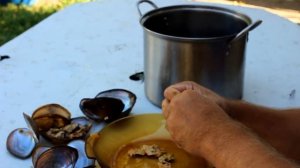 Речные мидии – как почистить и приготовить мидии