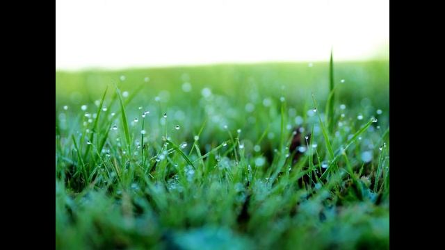 Olympus M10 Mark III Sample Images [ Photo Gallery ] great camera for travel & street photography смотреть онлайн