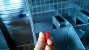 Металлическая клетка для кроликов своими руками (часть 14)