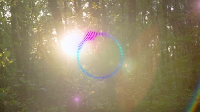 19 ноября Особенный День Изобилия. Лунный календарь смотреть онлайн