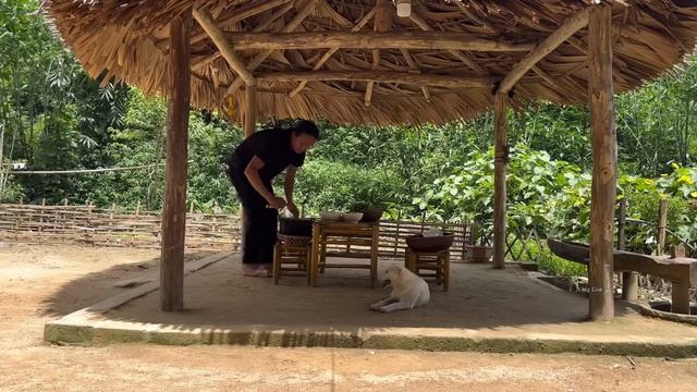 Harvesting Bananas Nutritiousv For Pigs Go to the market to sell- Cooking- vang hoa смотреть онлайн