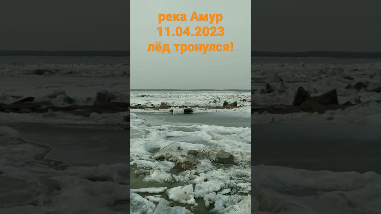 Лёд тронулся. река Амур 11.04.2023. Скоро на рыбалку! #рыбалка #яспиннингист смотреть онлайн