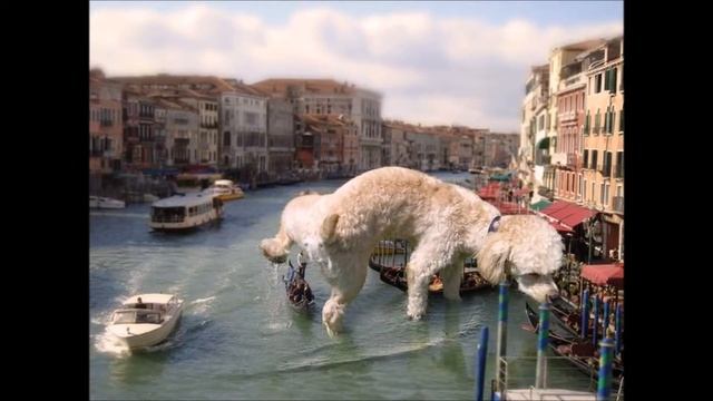 Сюрреализм:собаки смотреть онлайн