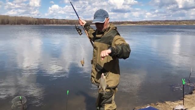 Сура 2019 смотреть онлайн