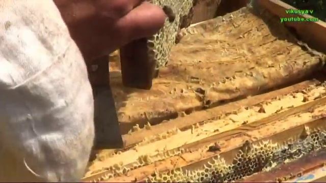 Влог ♥ Жизнь в деревне ♥ Пасека, как качают мед ♥ Сенокос ♥ Лошадки ♥ Оренбургская область смотреть онлайн