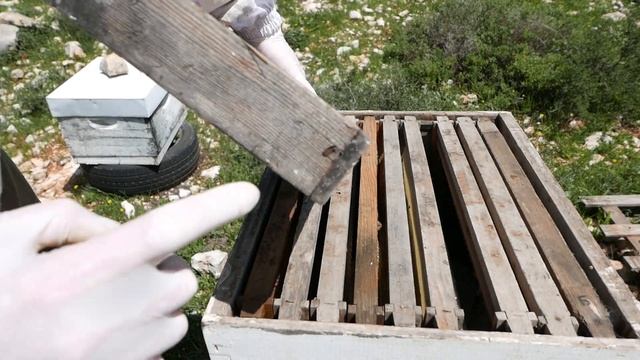 Пчеловодство израильская потолочная кормушка смотреть онлайн