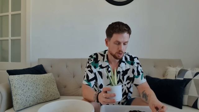 Сансевиерии. Новинки в коллекции. Разговорная пересадка. смотреть онлайн