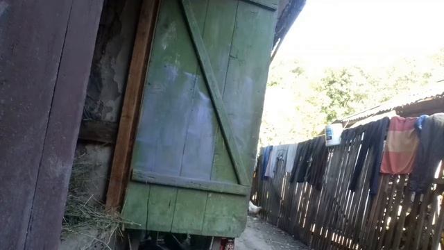 Бросание"Сюрикенов" смотреть онлайн