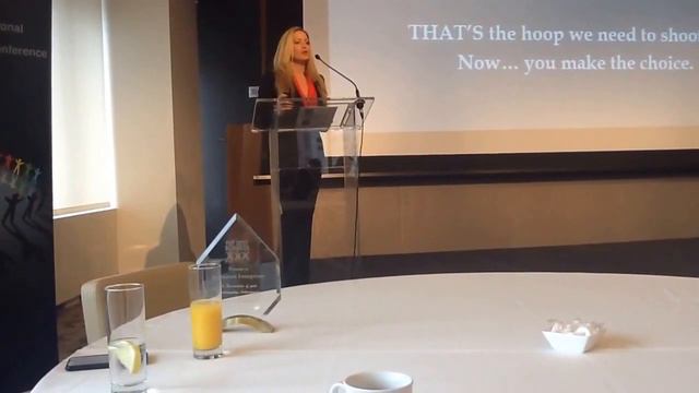 Michelle Van Otten ,Founder Profit Ventures, LLC DiversityBusiness.com 16th Annual National Summit смотреть онлайн