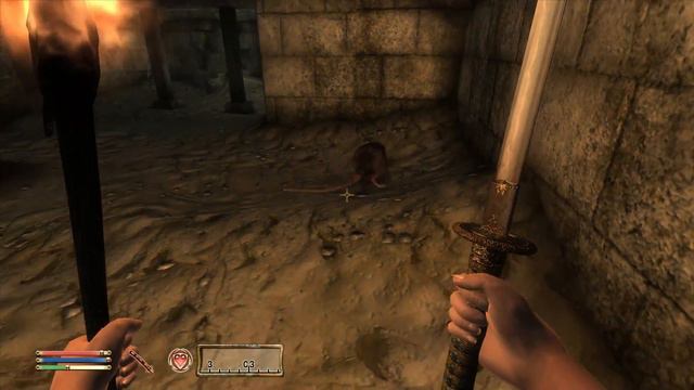 The Elder Scrolls IV Oblivion. Часть 1. Начало пути. Ознакомление с игрой смотреть онлайн
