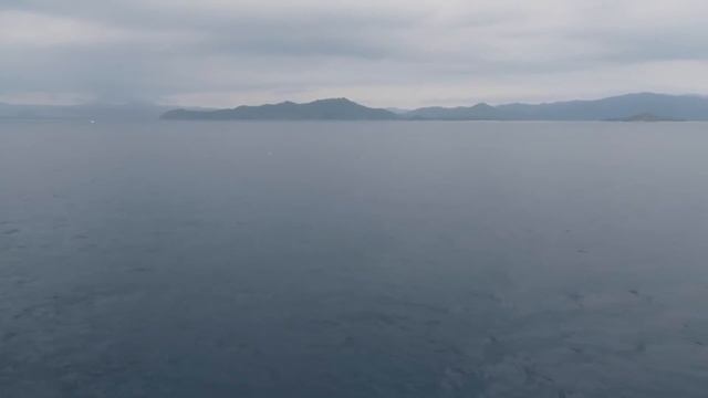 FROM BALI TO LOMBOK - INDONESIA TRAVEL DAILY VLOG #50 смотреть онлайн