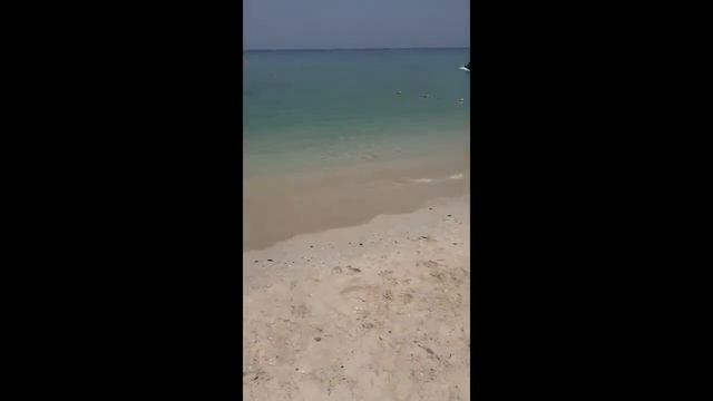 Полный обзор отеля Ramada Beach Ajman 4* OAE #oae #ajman #ramada #dubai #covid-19 #оаэ #рамад