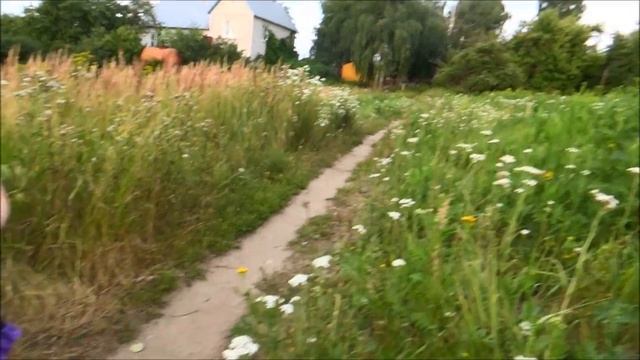 Как правильно запускать Божью Коровку смотреть онлайн
