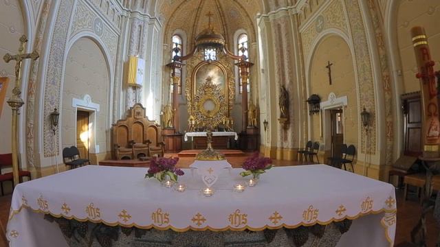 23 квітня 2020 р. Адорація Пресвятих Дарів. смотреть онлайн