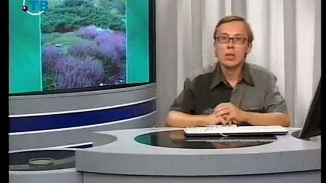 Цветы. Урок 4.7. Декоративные деревья и кустарники. Часть 2 смотреть онлайн