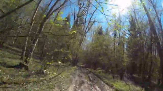 Заезд по лесу в Мытищинском раоне Московской области Racer Panther 250 смотреть онлайн