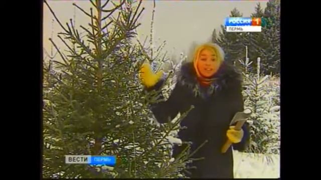 Как приобрести елочку в Перми. недорого смотреть онлайн
