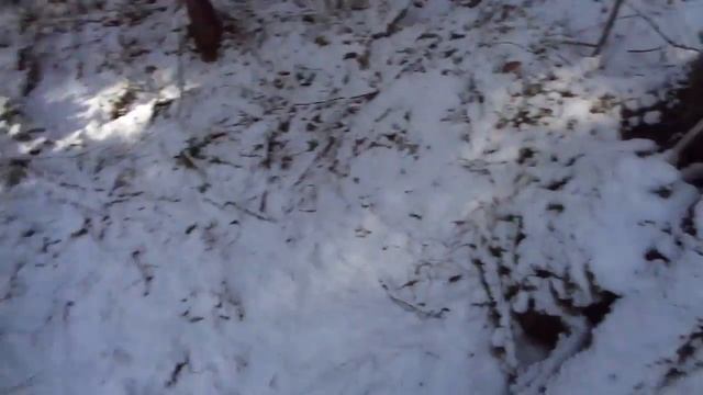 Березовый сок 2 мая смотреть онлайн