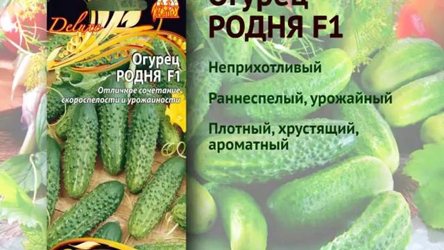 Родня — свой огурец! 10 секунд смотреть онлайн