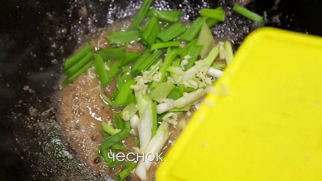 Зоопарк и Дикие Животные