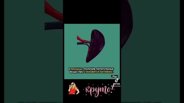 пожалуйста соблюдать режим питания, режим сна и не портите организм смотреть онлайн