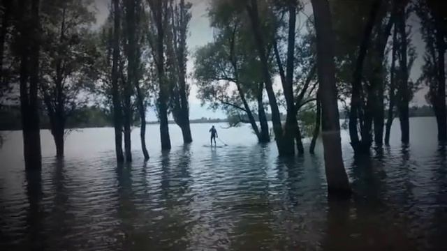 Падлинг аднака. смотреть онлайн