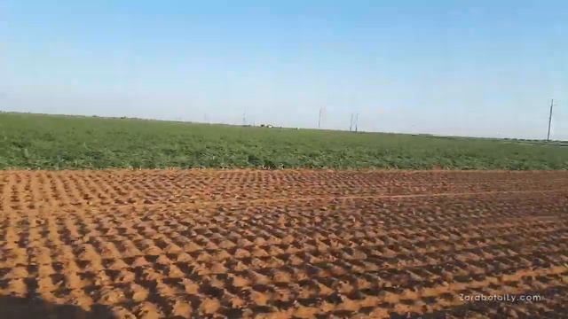 #денислук Лук Оптом, пока ждём лук на зелень смотреть онлайн