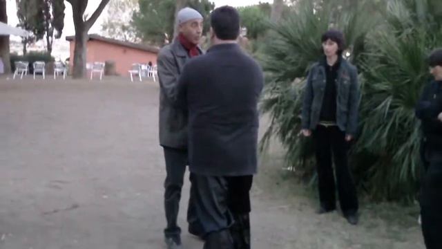 Taiji Quan a Roma con il Maestro Flavio Daniele: "Nei Gong Il segreto della forza marziale"(XV) смотреть онлайн