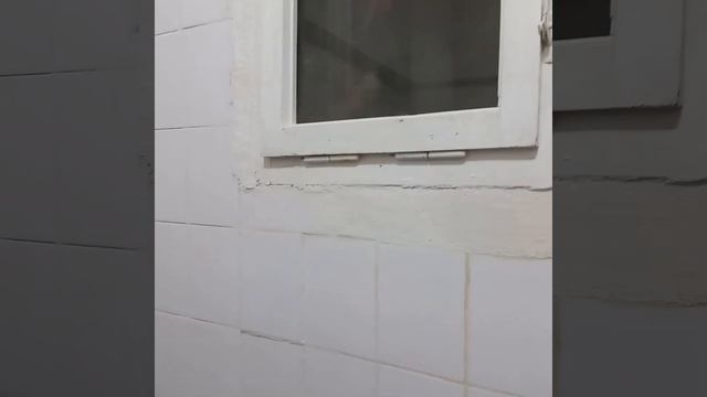 Ура! Всё....свершилось! Купили кусочек средиземного моря! Теперь у нас дача в Турции!!! смотреть онлайн