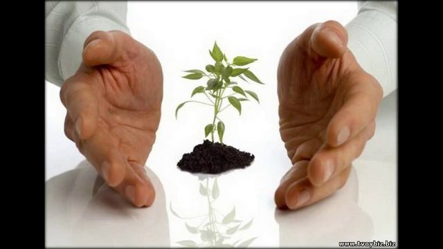 как победить лень и заставить себя учиться смотреть онлайн