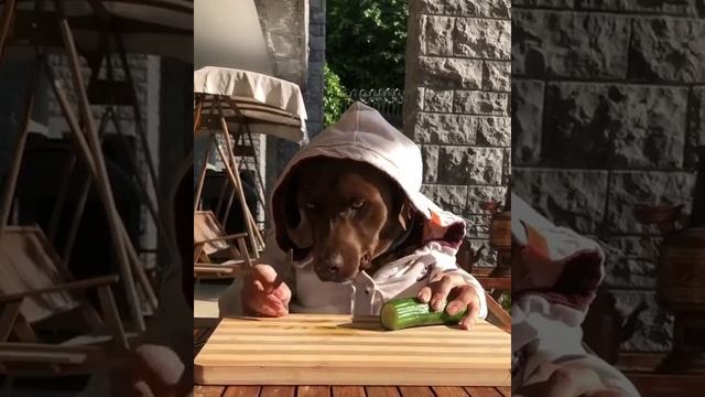 огурец смотреть онлайн
