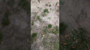 Уаз Патриот 2019 ремонт заслонки подмеса воздуха