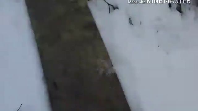 Дача |ГОЛОСОВАНИЕ смотреть онлайн