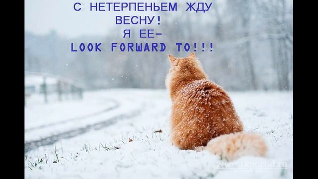 Любаняшки - стишки - рифмовки для запоминания фразовых глаголов. Spotlight 7 класс 5 модуль. смотреть онлайн