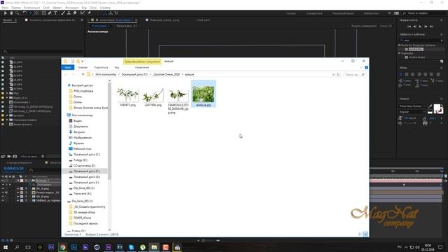 After effects проект по слоям добавляем камеру 1 смотреть онлайн
