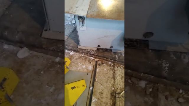Куплю Станок циркулярный, фуганок. Кедр или другой смотреть онлайн